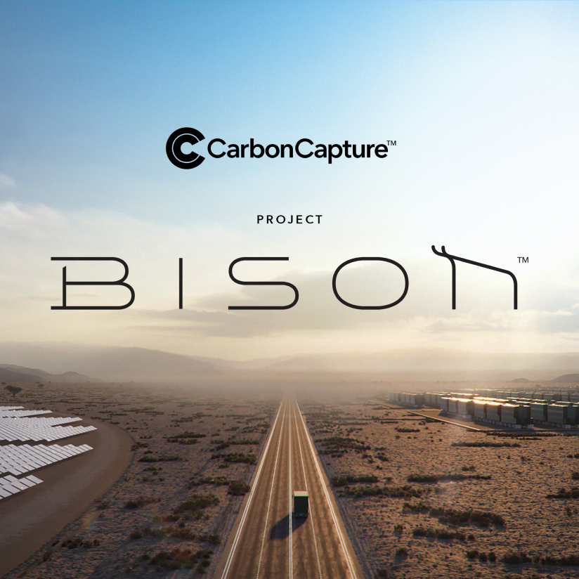 BISON-mid-resized