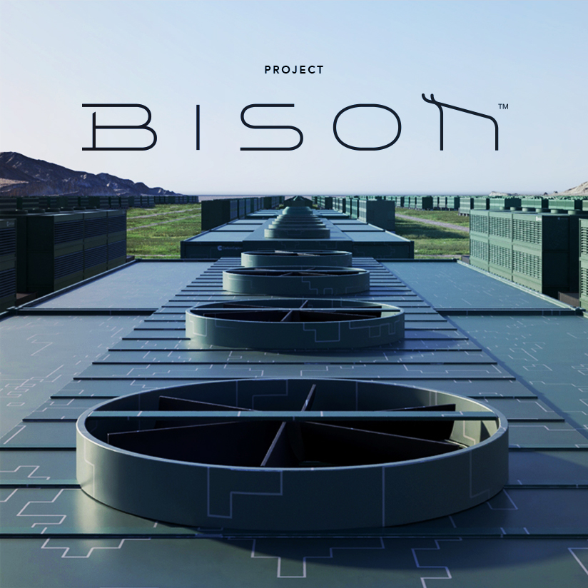 bw-Bison