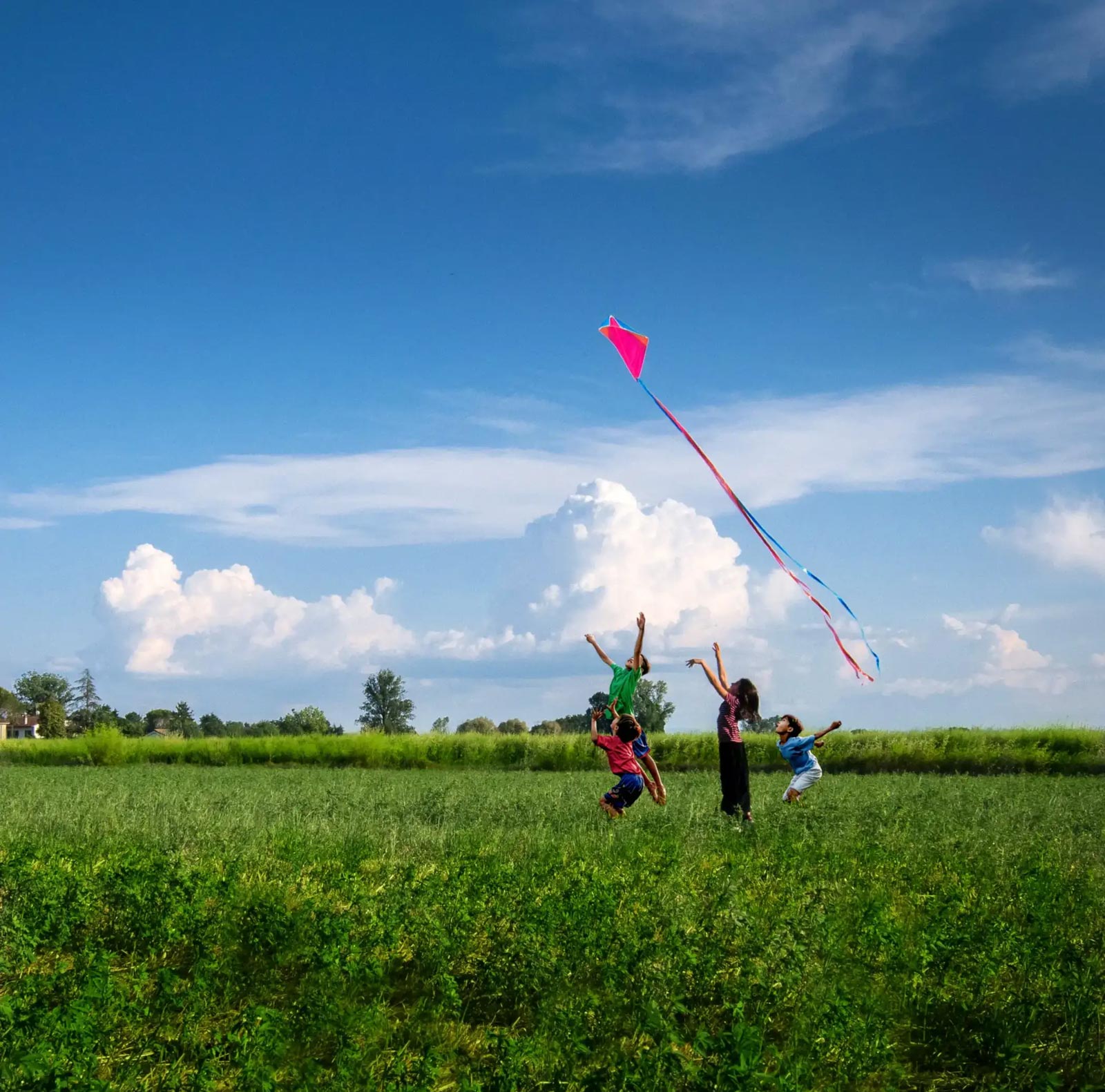 flyingkites